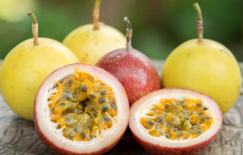 Premium Kenyan Purple & Yellow Passion Fruit - Lioness Earthfoods International - Germany